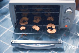 360°烘干，原汁原味即刻享用 金正家用食品水果烘干機全體驗