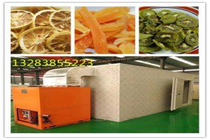 風(fēng)刀式烘干機(jī) 果蔬烘干領(lǐng)域的專業(yè)市場(chǎng)新勢(shì)力