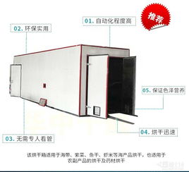 果蔬烘干機 現代家庭營養與便捷的守護者